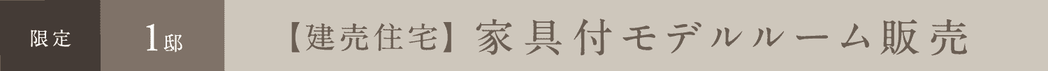 限定1邸 【建売住宅】家具付モデルルーム販売